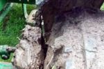 20160625_202812.jpg