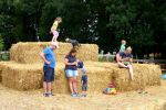 IMG_2833.jpg