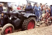 1991__2_.jpg