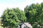 20160626_143935.jpg